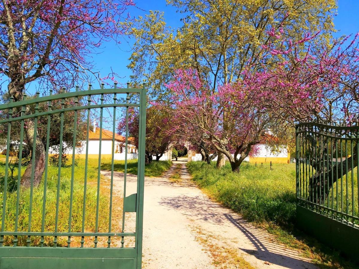 Casas Herdade Do Convento Da Serra Almeirim Exterior foto