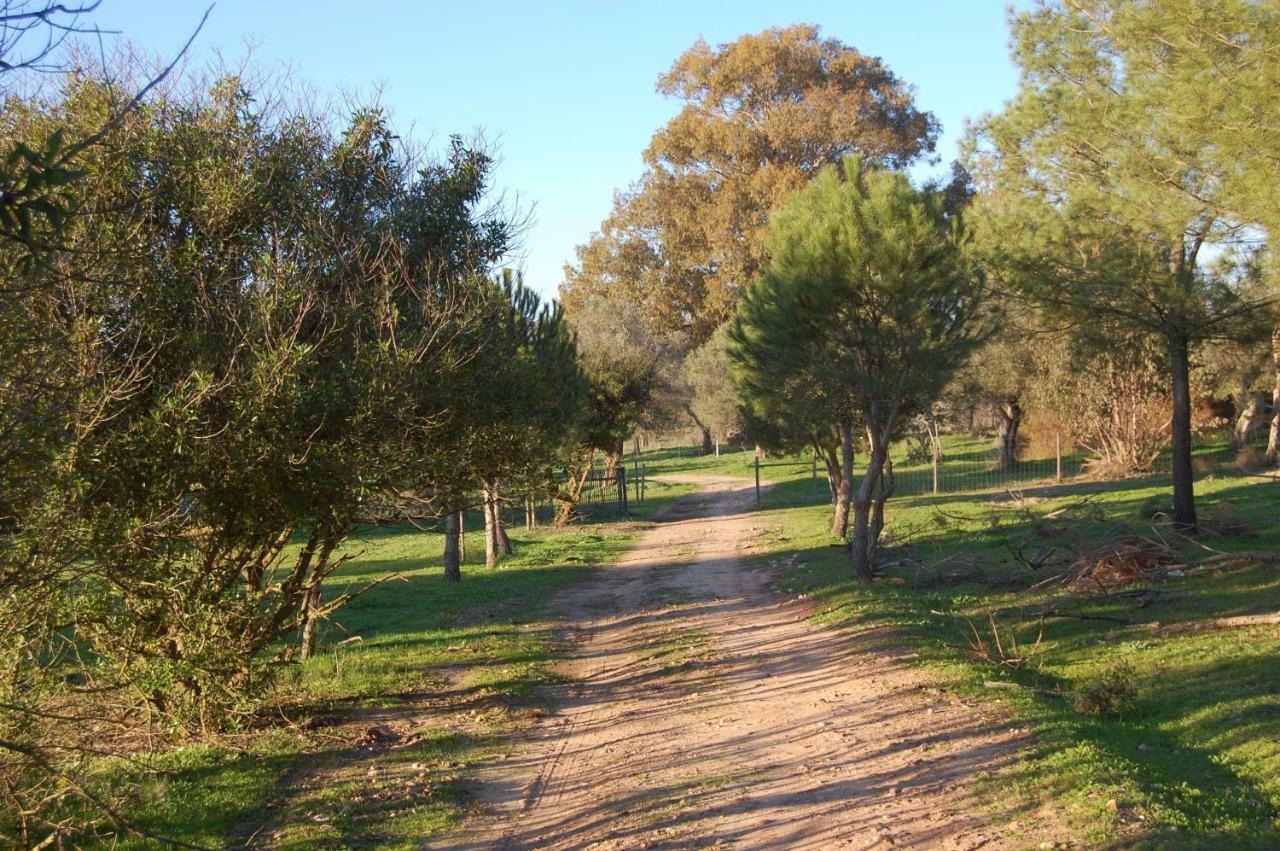 Casas Herdade Do Convento Da Serra Almeirim Exterior foto